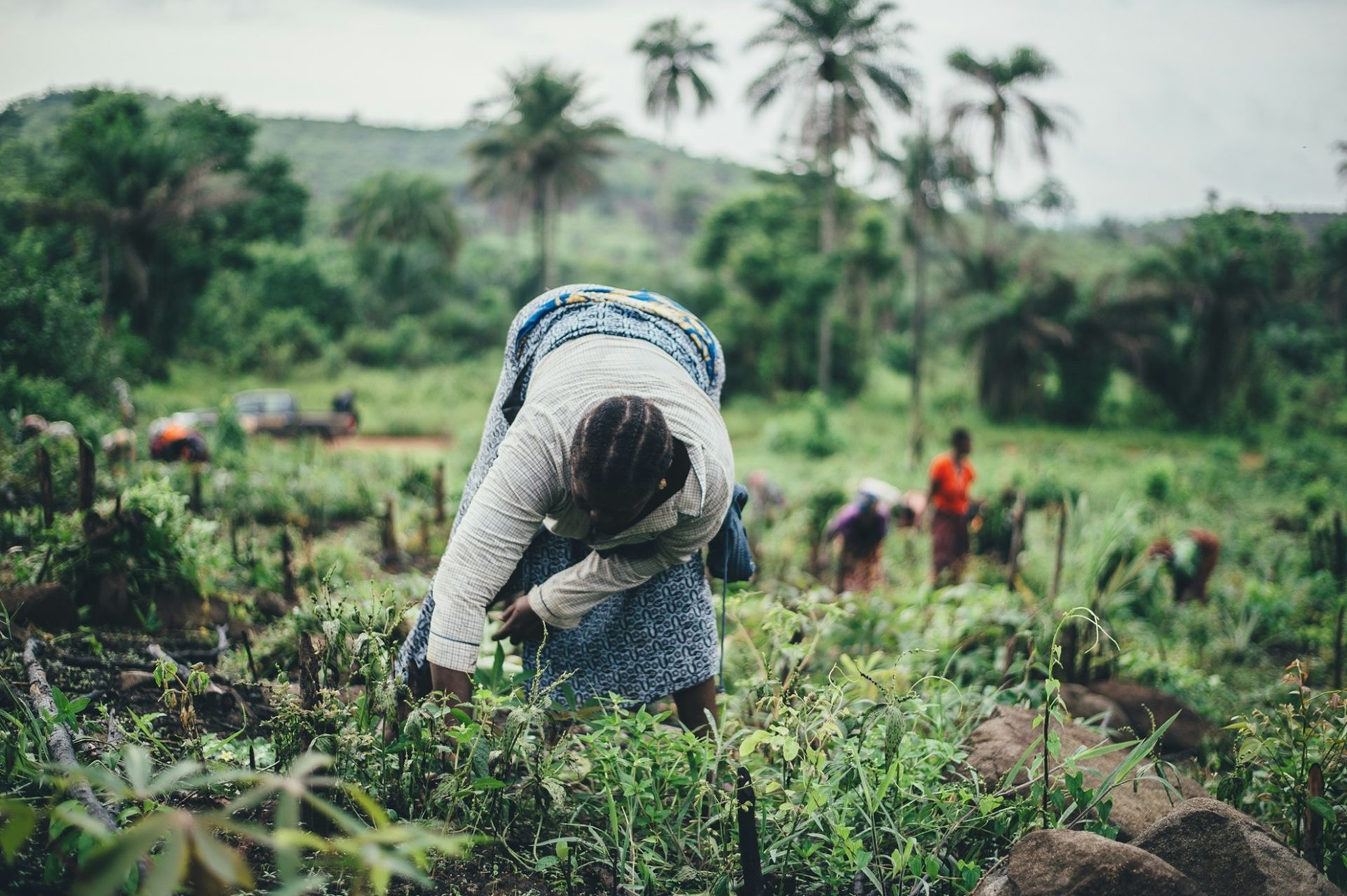 Image: Unsplash, Annie Spratt