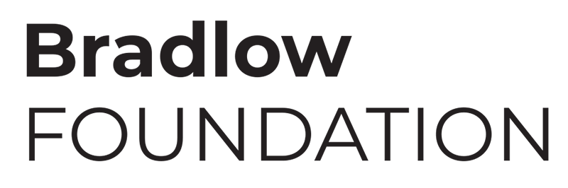 Bradlow-Foundation