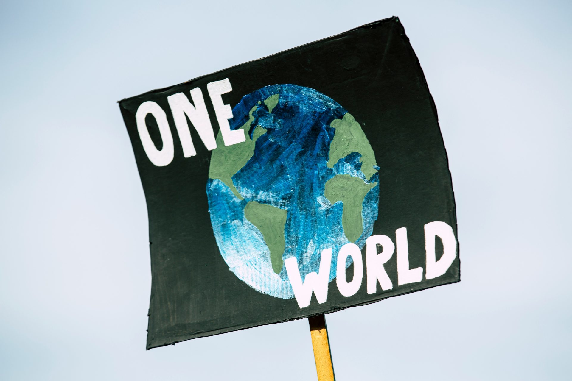 Image: Unsplash, Markus Spiske